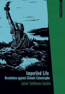 Imperiled Life cover: the Statue of Liberty with waves above her waist